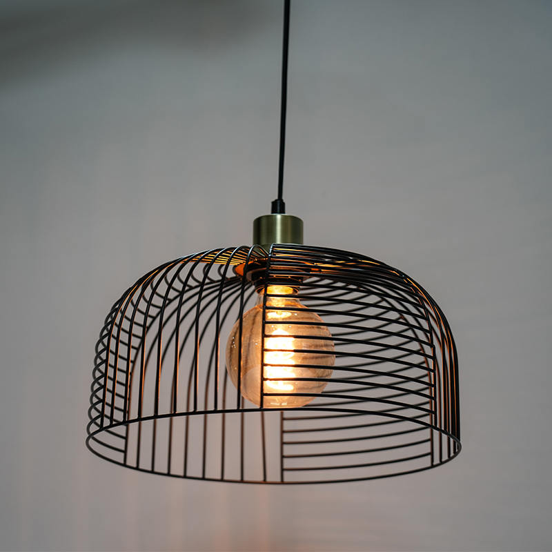 Luce per uccelli che perde il lampadario di ferro